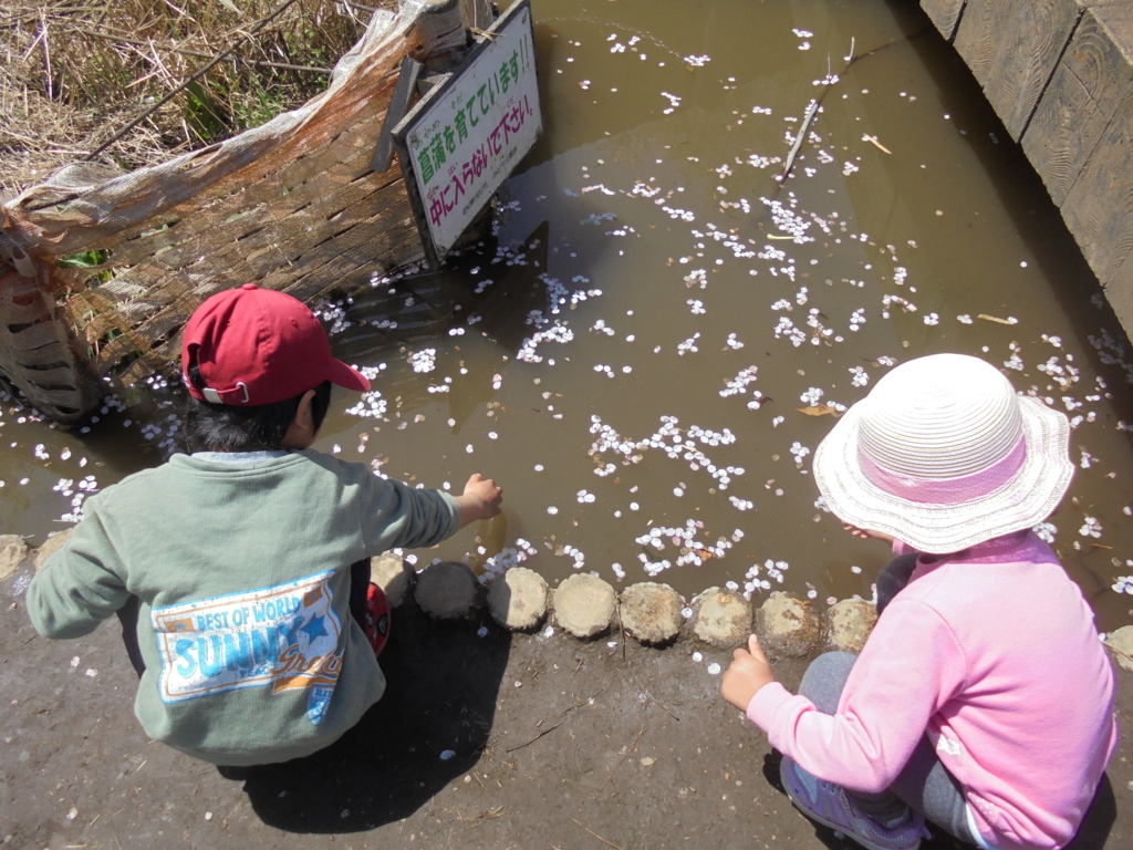 f:id:donkoro:20170412114830j:plain f:id:donkoro:20170412114830j:plain