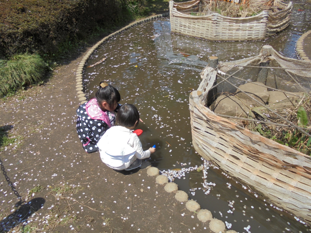 f:id:donkoro:20170413121823j:plain f:id:donkoro:20170413121823j:plain