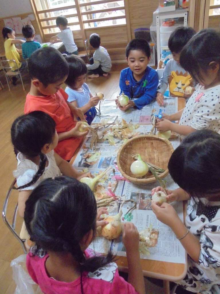 f:id:donkoro:20170609093525j:plain