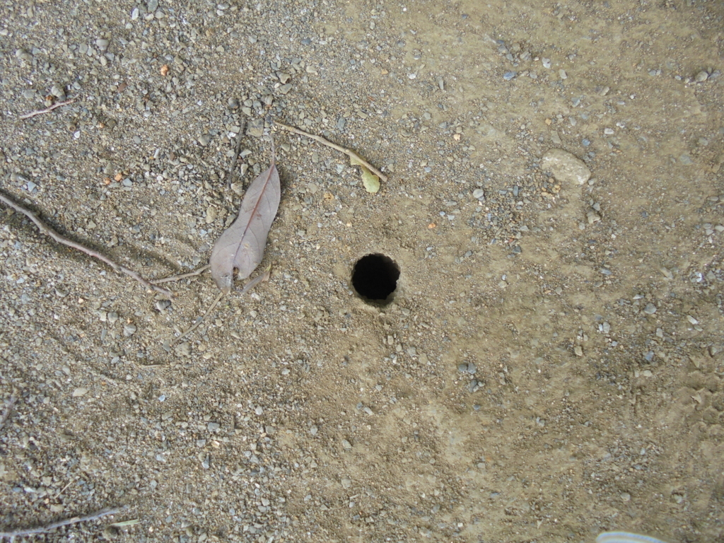 f:id:donkoro:20170724104427j:plain