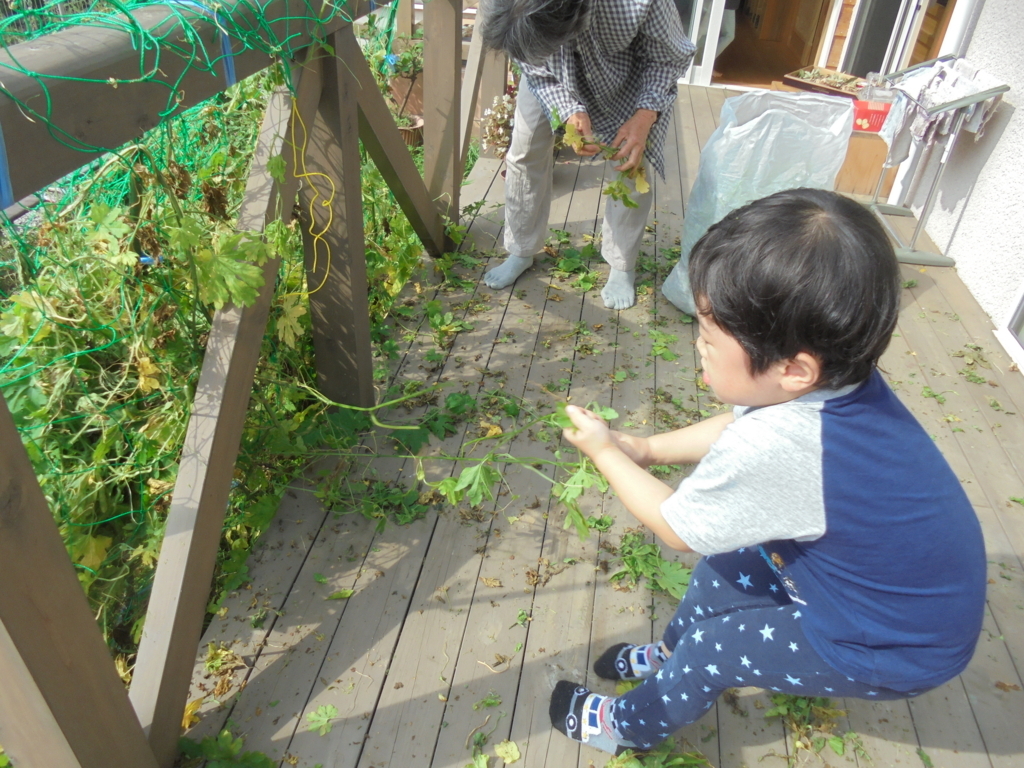 f:id:donkoro:20170914093429j:plain f:id:donkoro:20170914093429j:plain