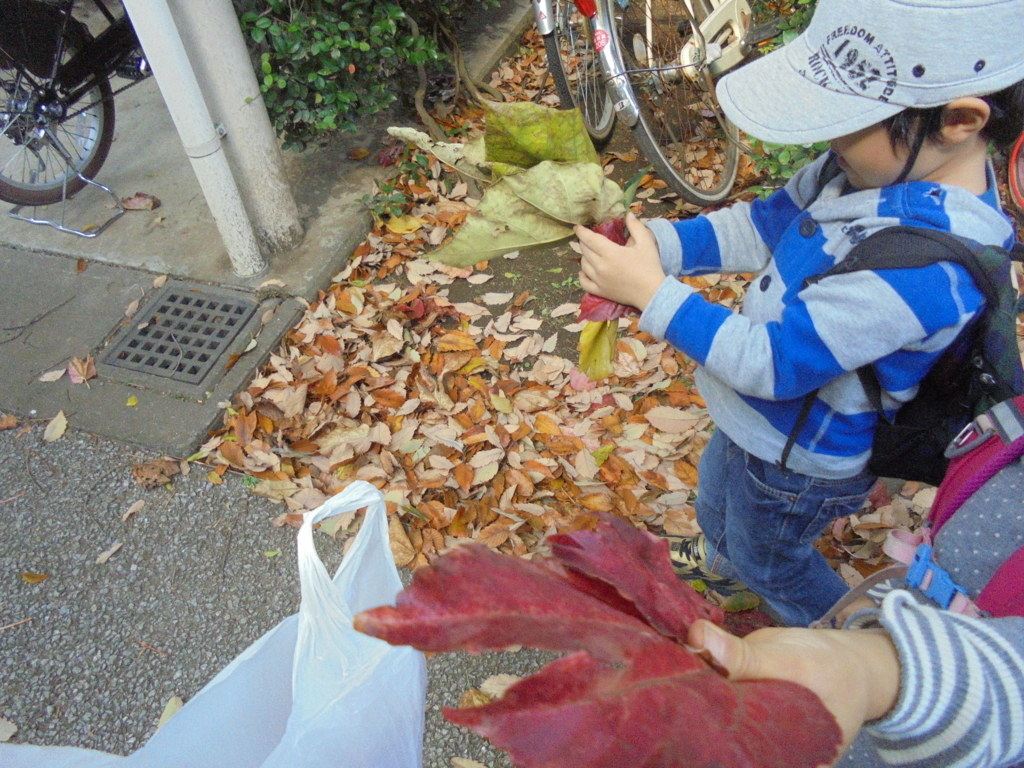 f:id:donkoro:20171109113335j:plain