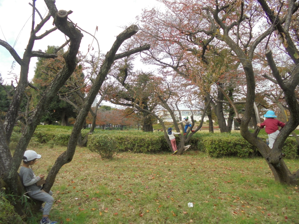 f:id:donkoro:20171110121441j:plain