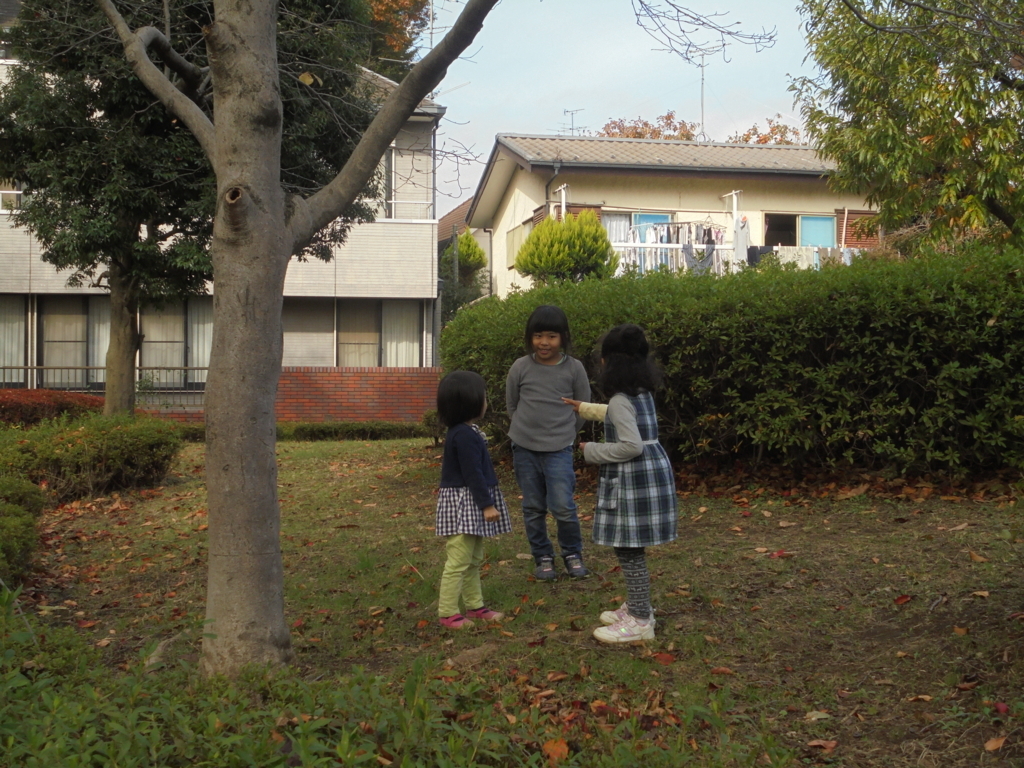 f:id:donkoro:20171110122331j:plain