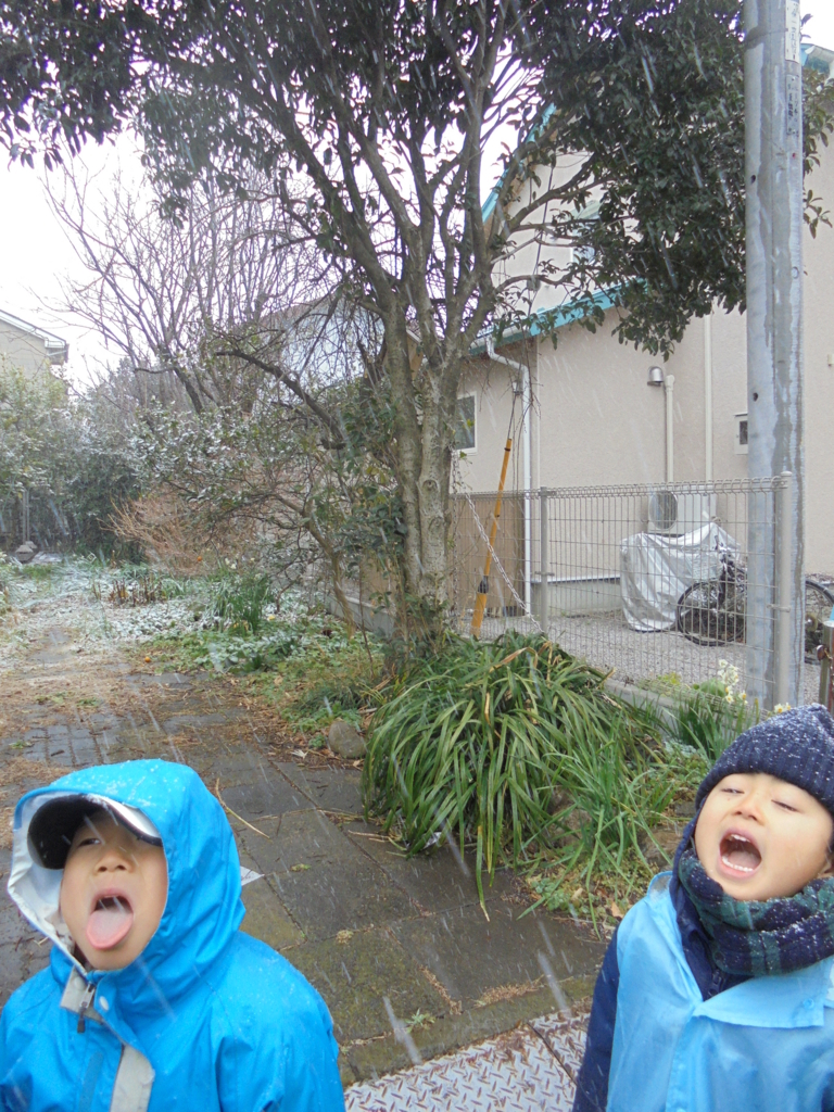 f:id:donkoro:20180122113546j:plain