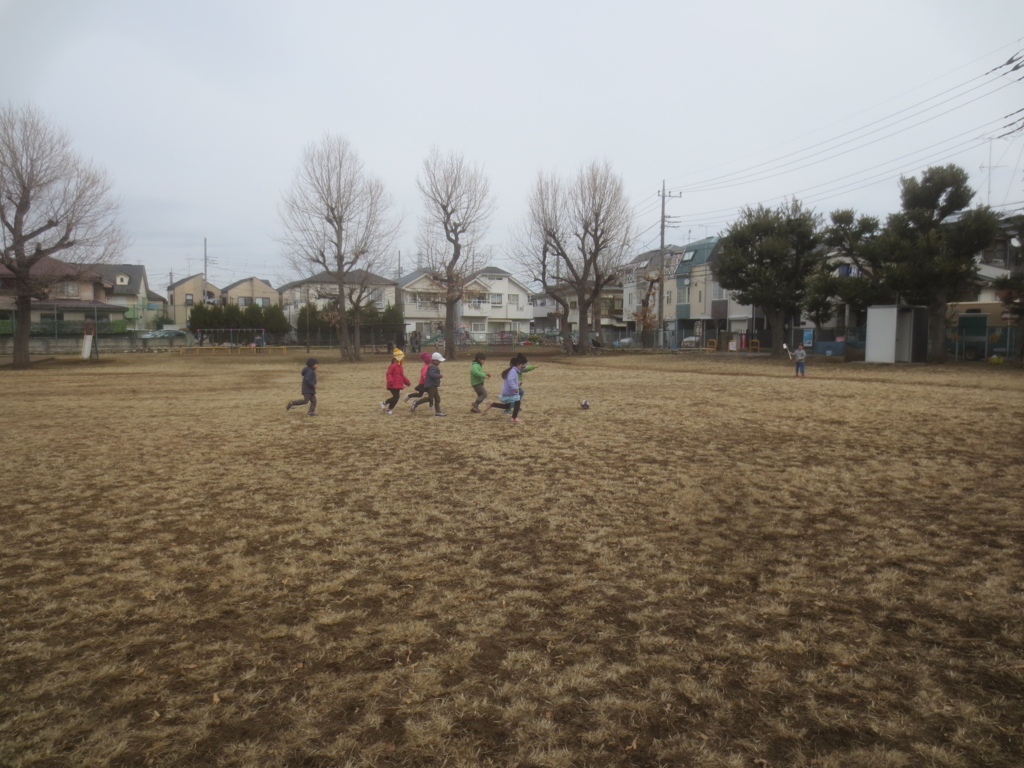 f:id:donkoro:20180221112430j:plain