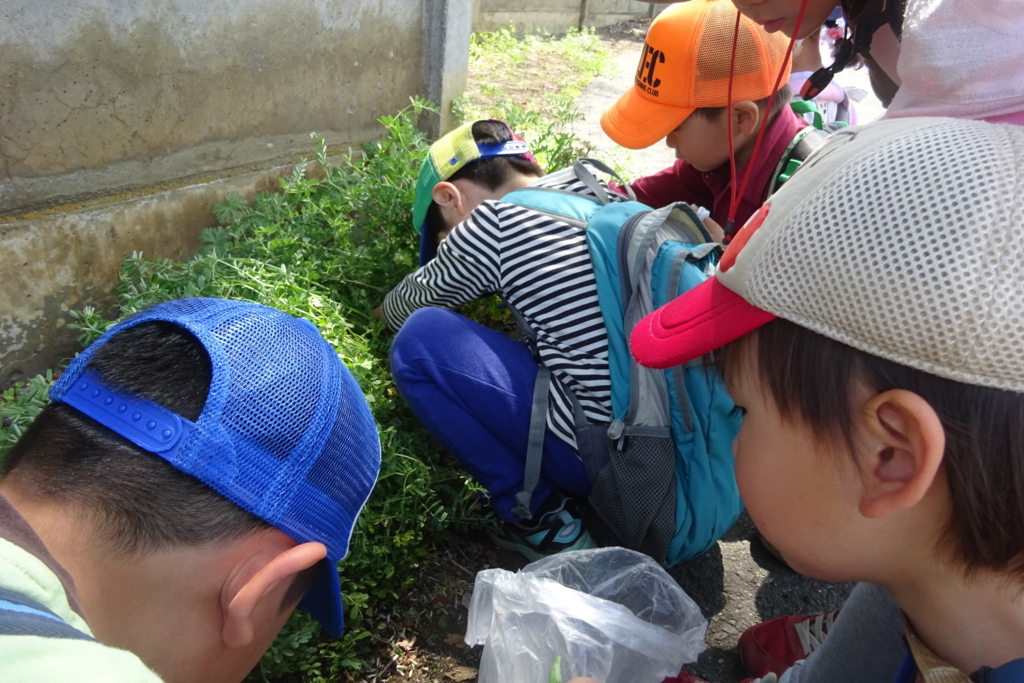 f:id:donkoro:20180412103703j:plain f:id:donkoro:20180412103703j:plain