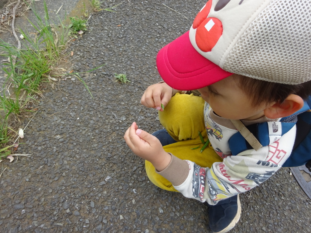 f:id:donkoro:20180423112615j:plain