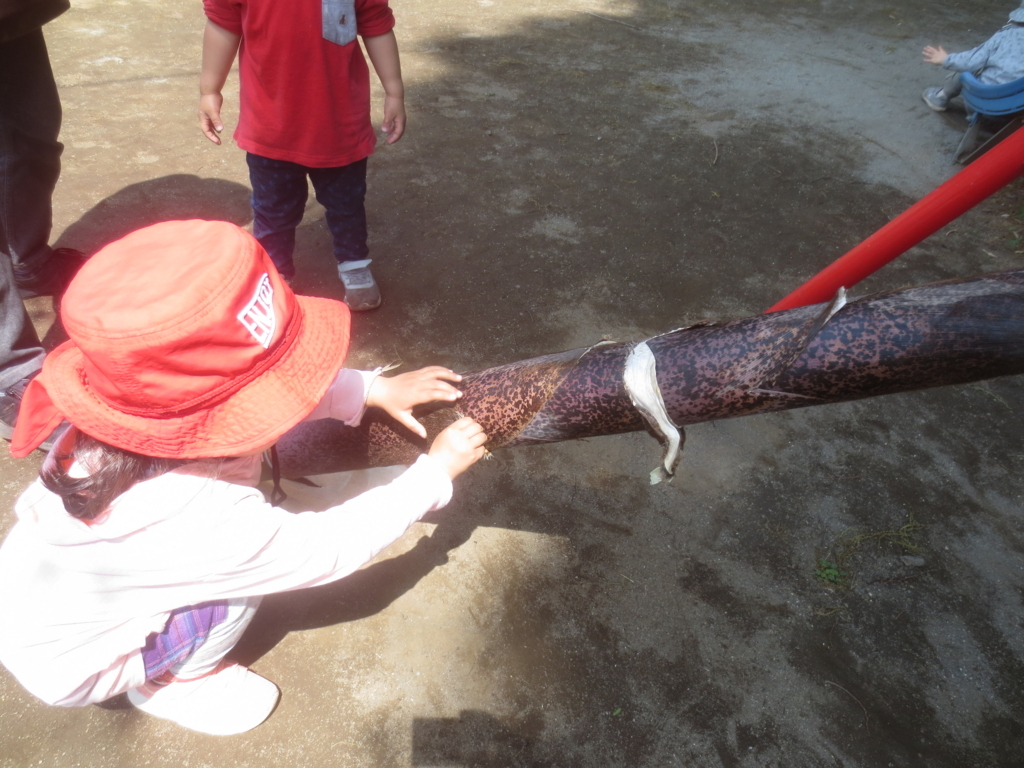 f:id:donkoro:20180501123042j:plain