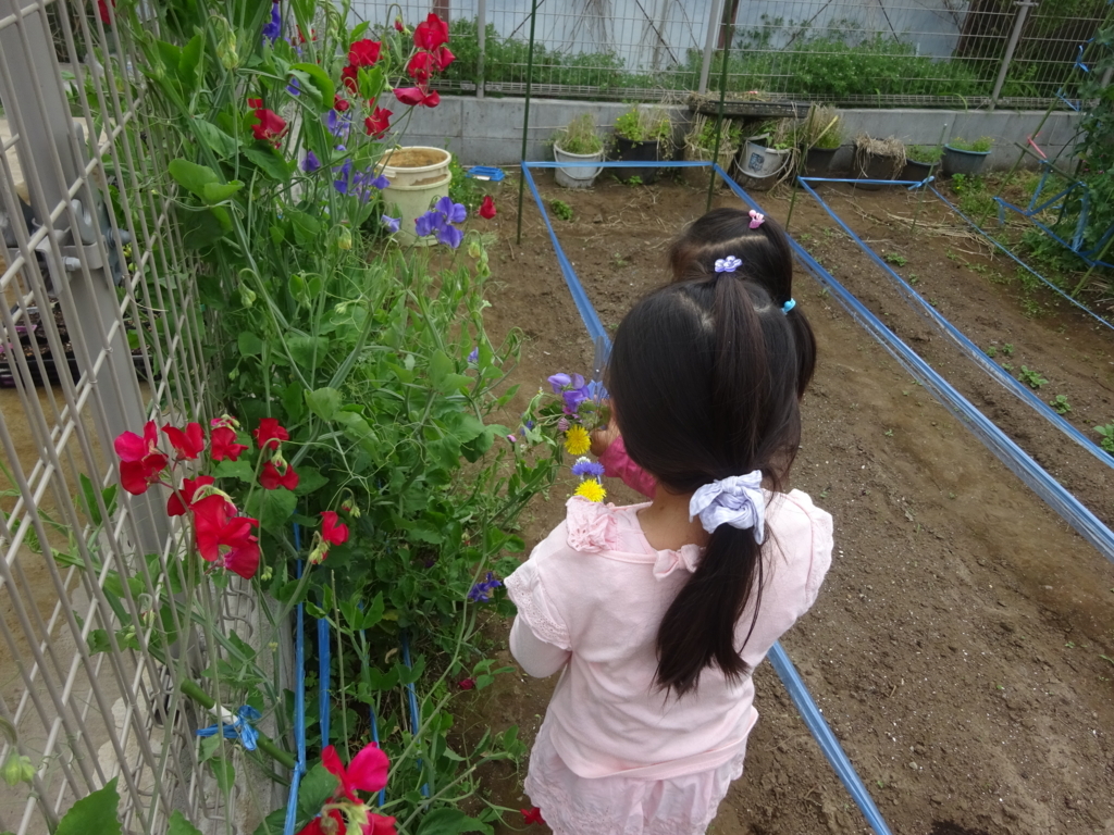f:id:donkoro:20180502094450j:plain f:id:donkoro:20180502094450j:plain