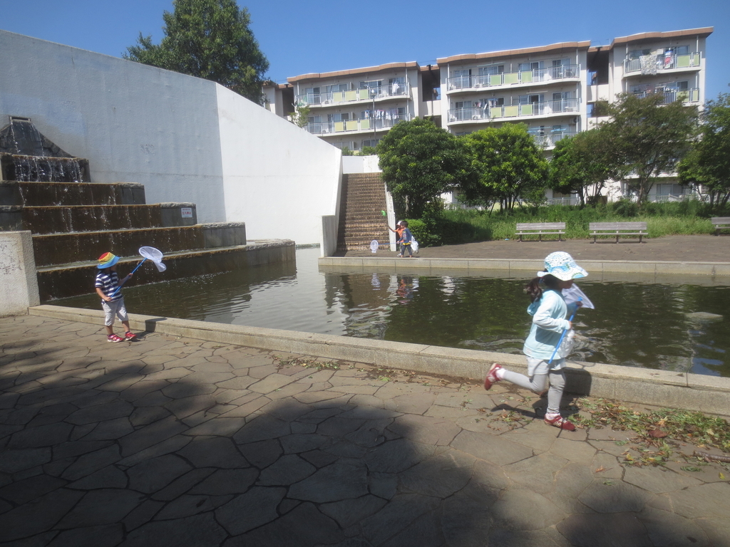 f:id:donkoro:20180905101421j:plain