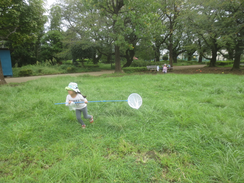 f:id:donkoro:20180912104443j:plain f:id:donkoro:20180912104443j:plain