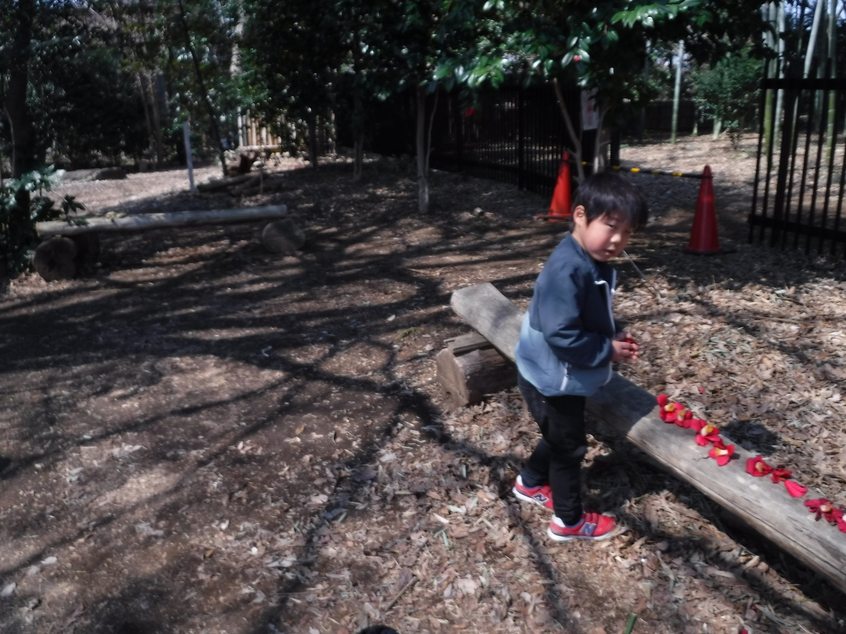 f:id:donkoro:20190315111107j:plain