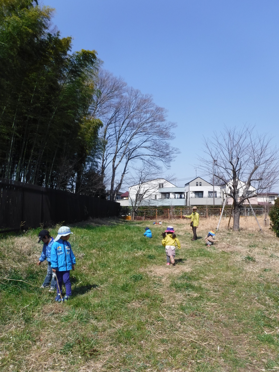 f:id:donkoro:20190315115140j:plain