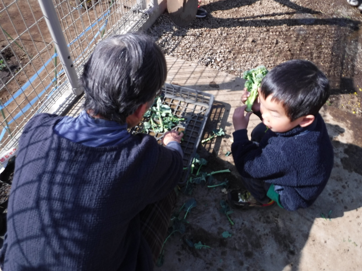 f:id:donkoro:20190320091938j:plain