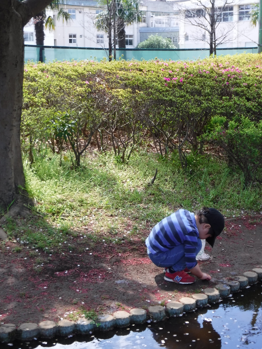 f:id:donkoro:20190415111038j:plain
