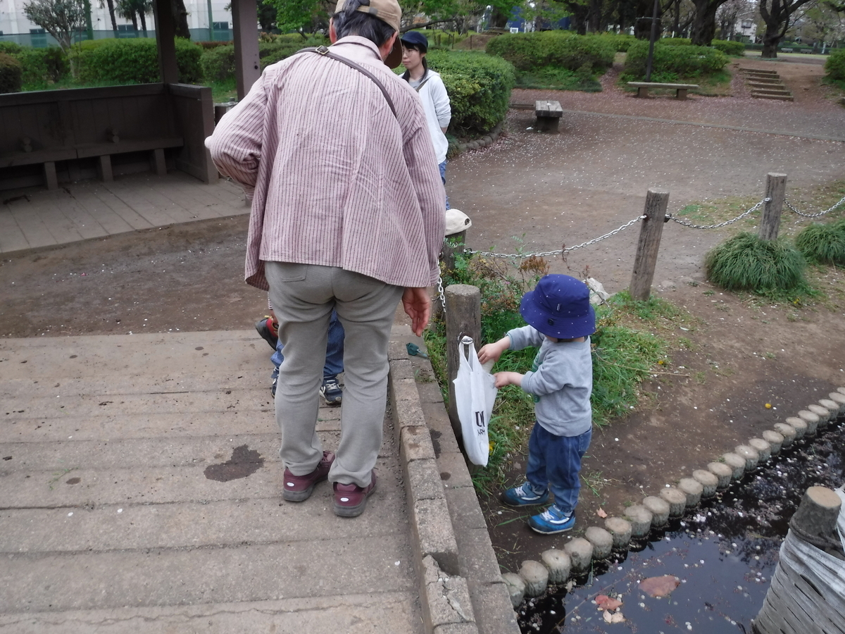 f:id:donkoro:20190417115134j:plain