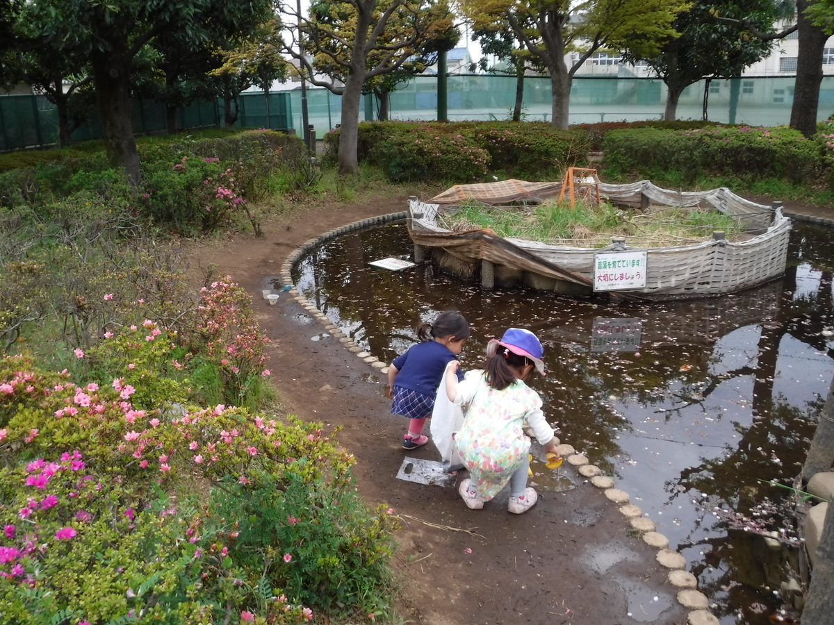 f:id:donkoro:20190417115151j:plain