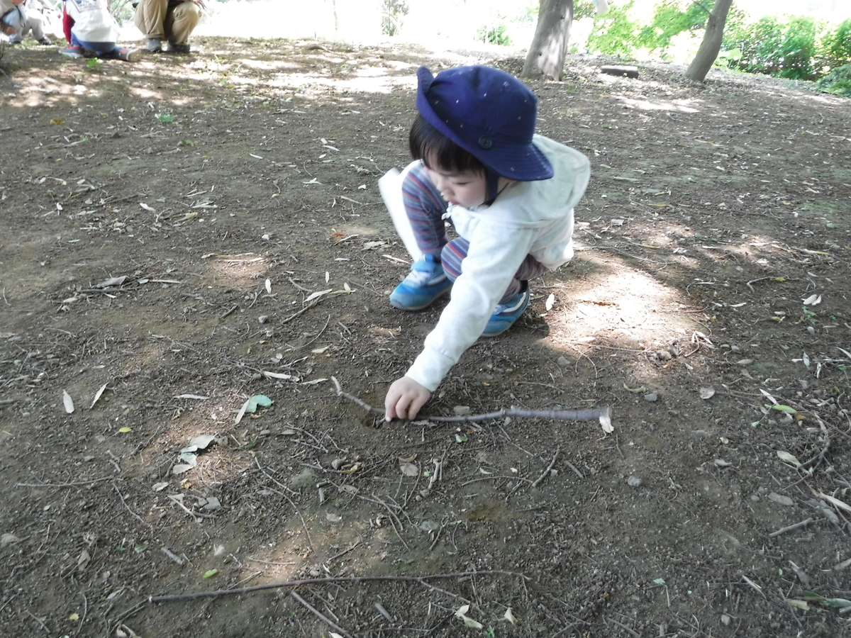 f:id:donkoro:20190510114541j:plain