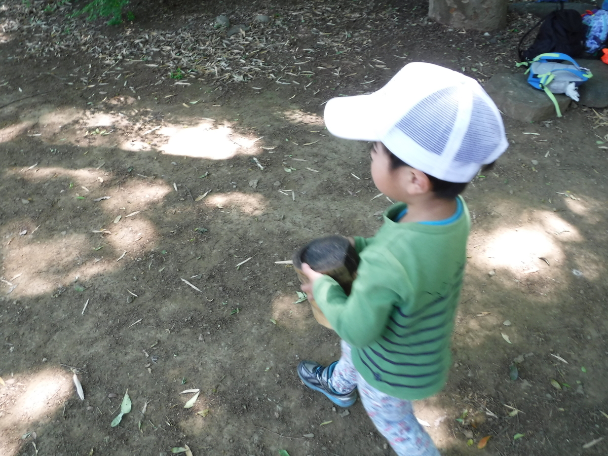 f:id:donkoro:20190510114634j:plain