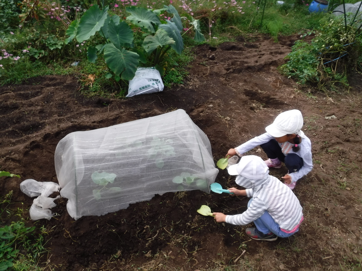 f:id:donkoro:20191010092640j:plain f:id:donkoro:20191010092640j:plain