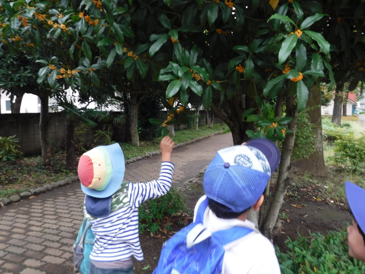 f:id:donkoro:20191015104834j:plain f:id:donkoro:20191015104834j:plain