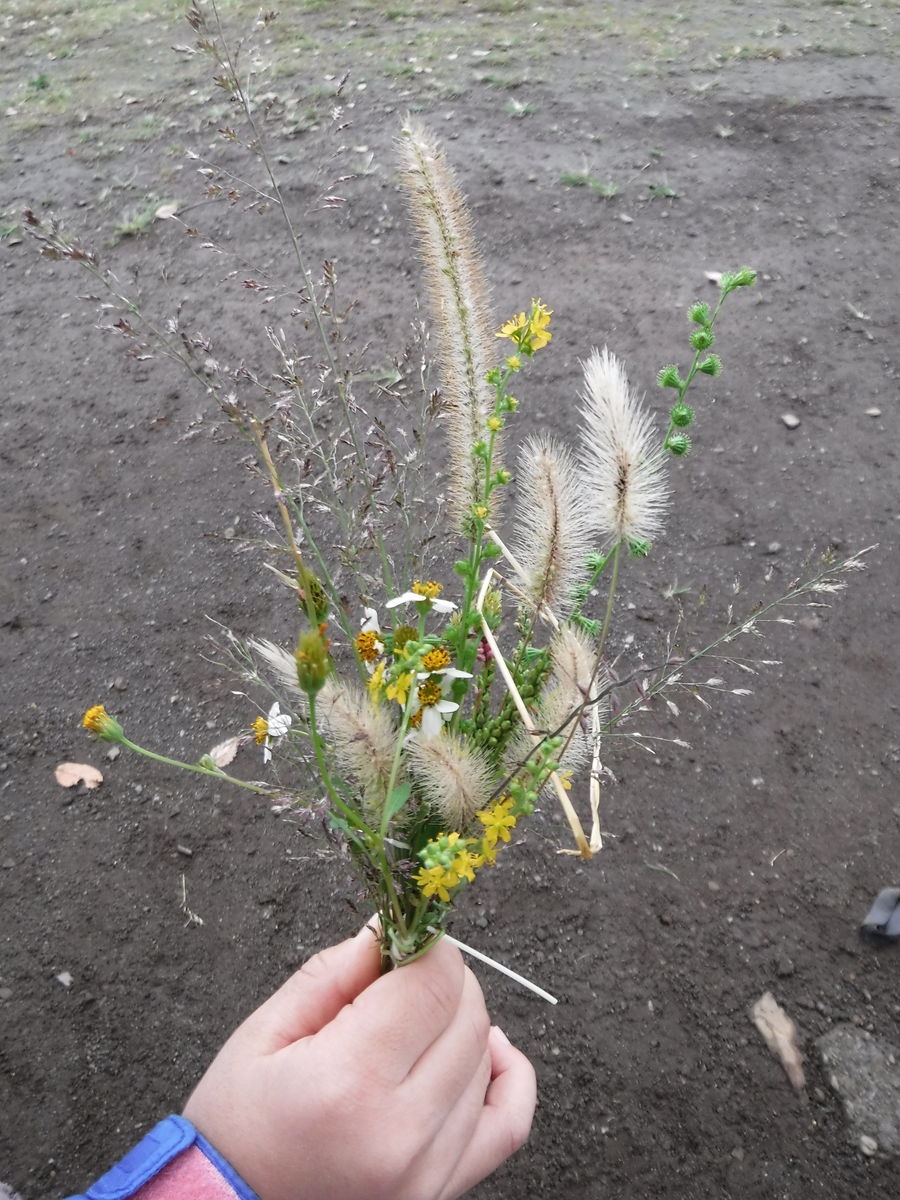 f:id:donkoro:20191018115417j:plain