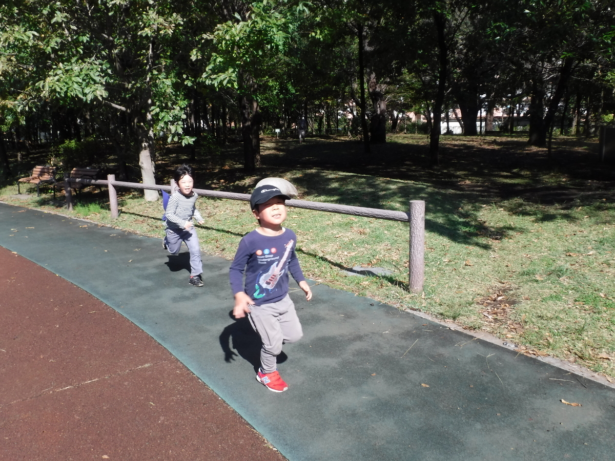 f:id:donkoro:20191030104315j:plain