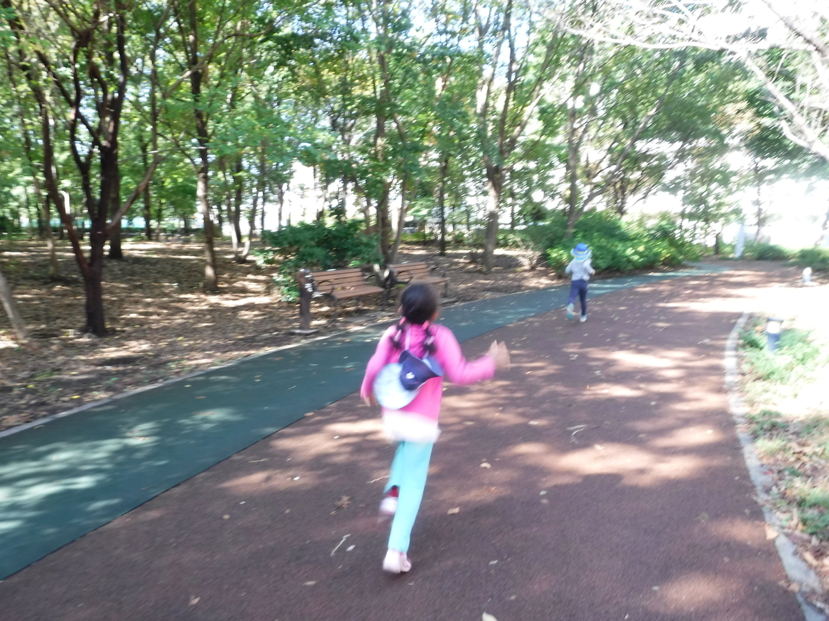 f:id:donkoro:20191030104844j:plain