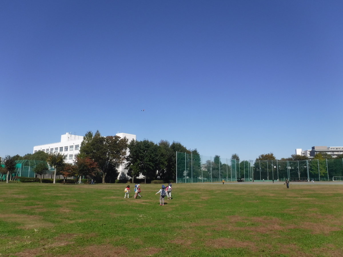 f:id:donkoro:20191106110244j:plain