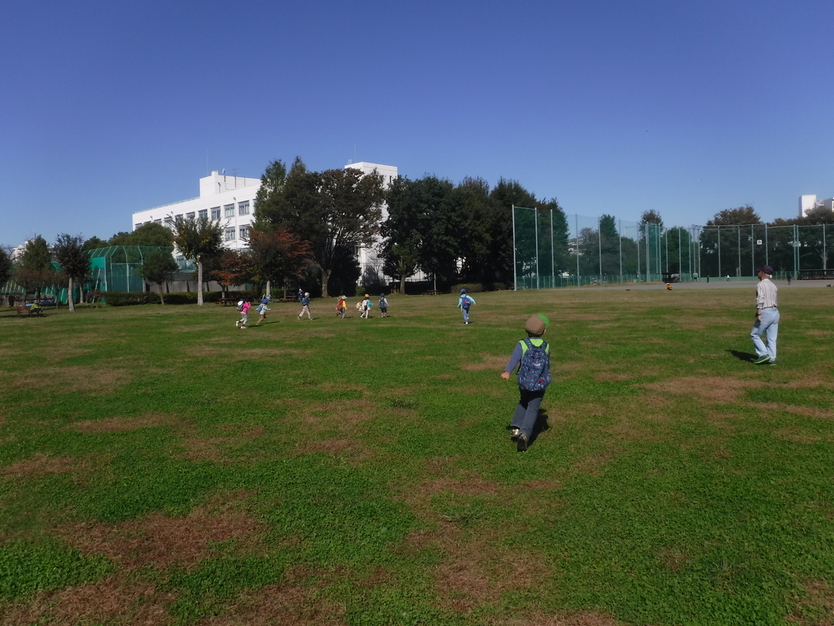 f:id:donkoro:20191106110301j:plain