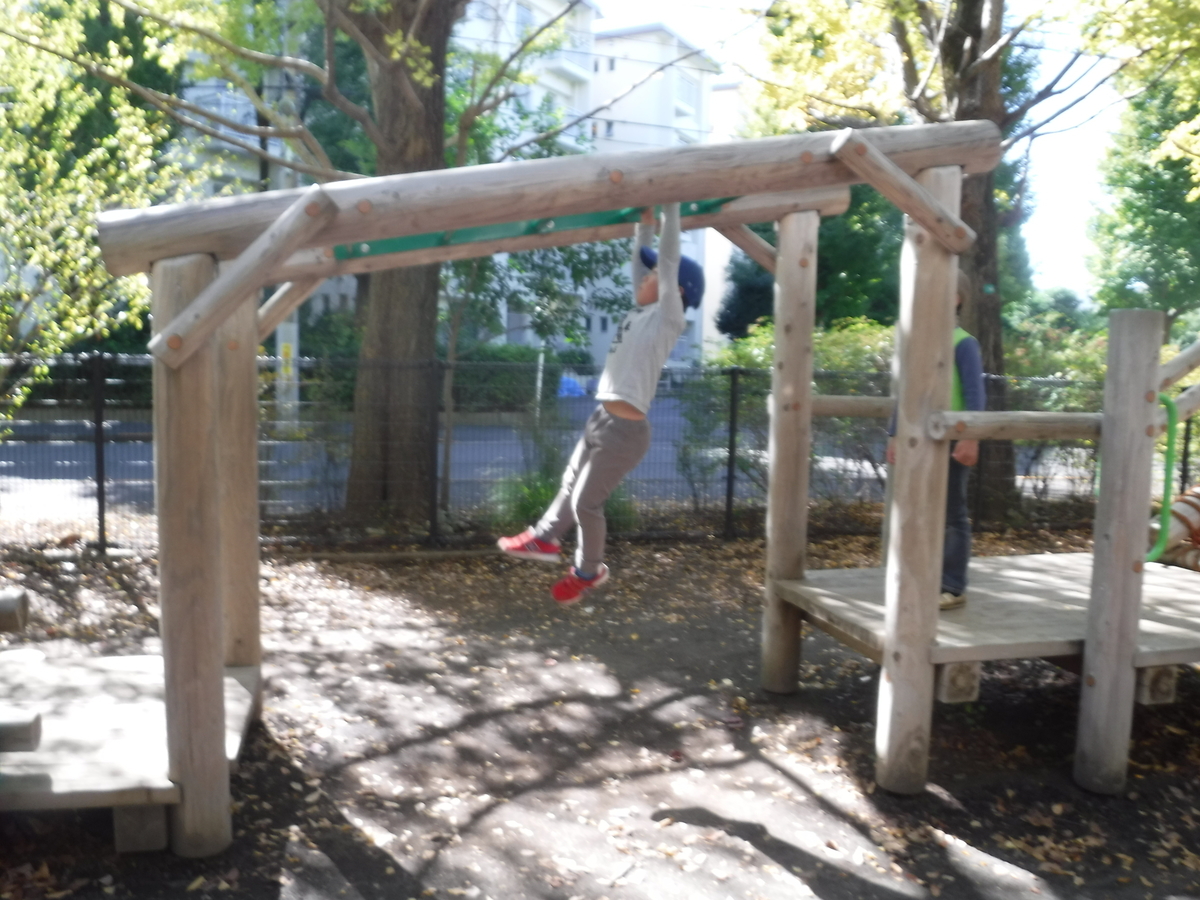 f:id:donkoro:20191106113235j:plain