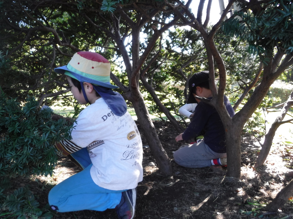 f:id:donkoro:20191112110709j:plain