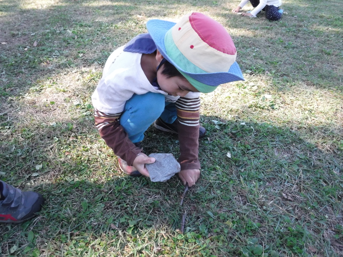 f:id:donkoro:20191112111249j:plain