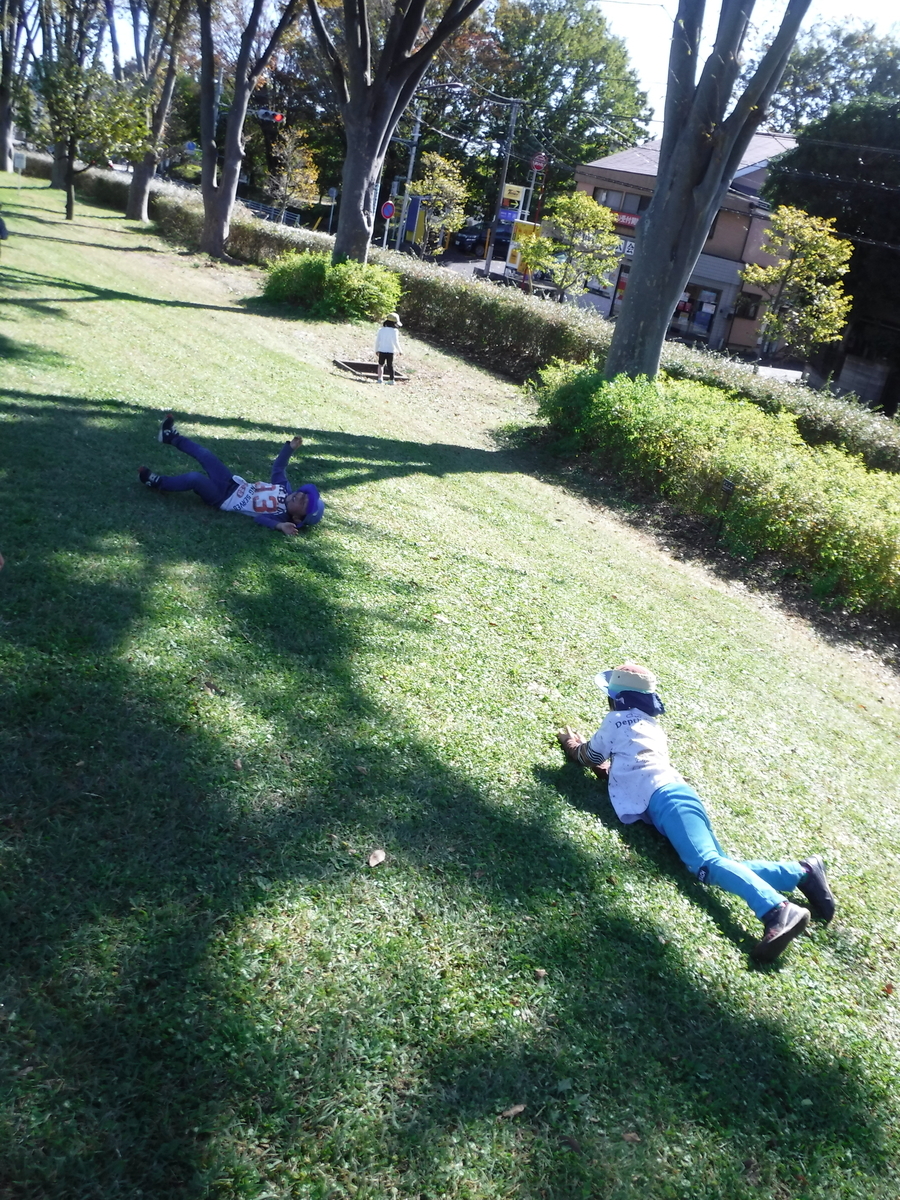 f:id:donkoro:20191112114303j:plain