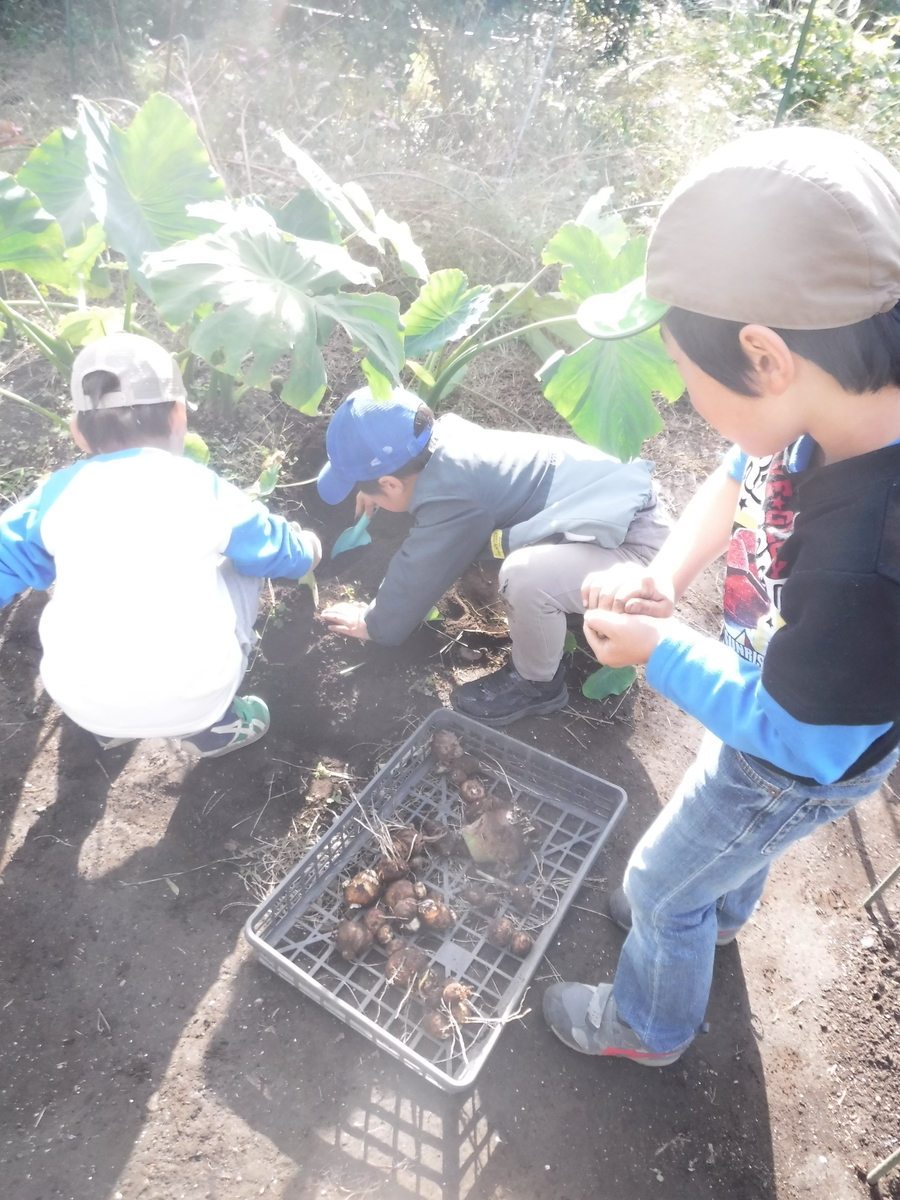 f:id:donkoro:20191115092240j:plain