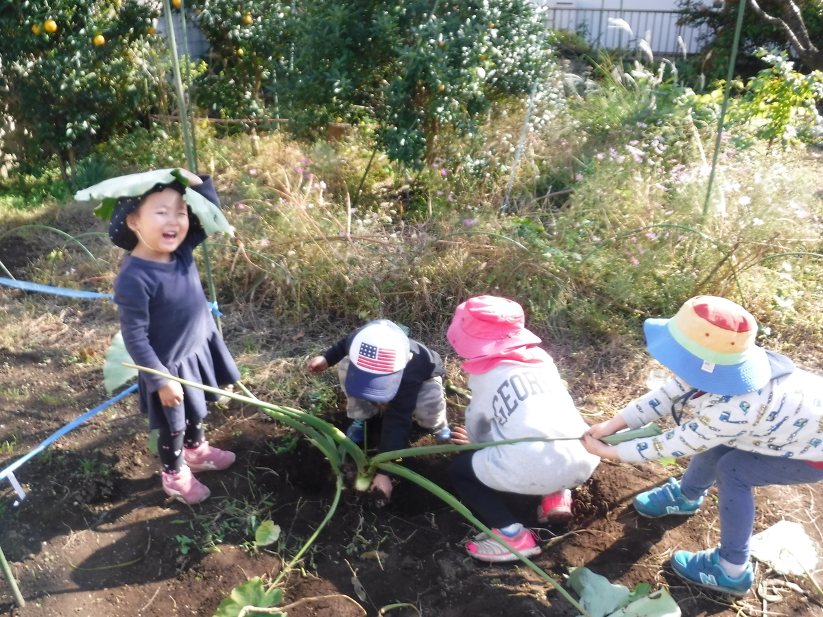 f:id:donkoro:20191115132114j:plain