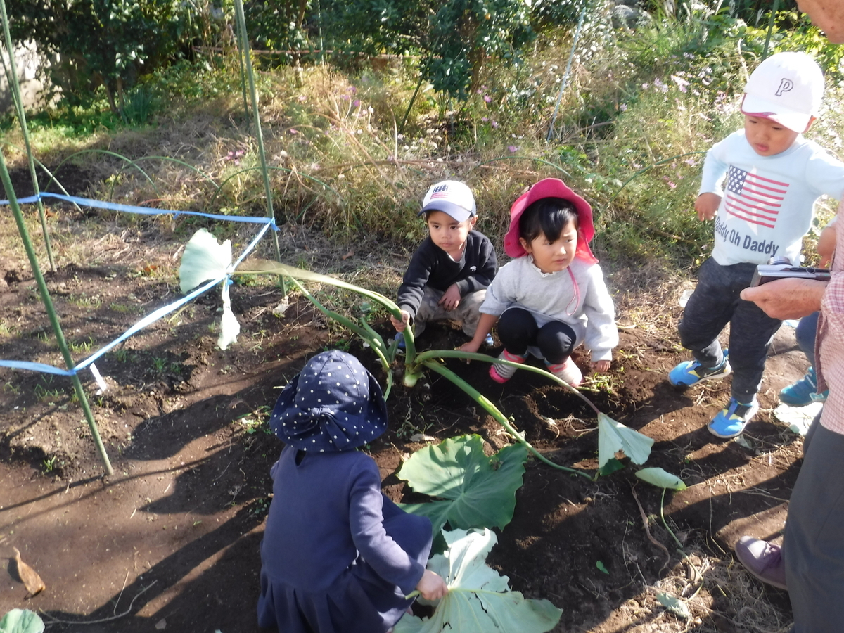 f:id:donkoro:20191115132139j:plain