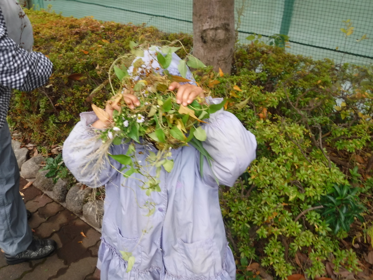 f:id:donkoro:20191126115346j:plain