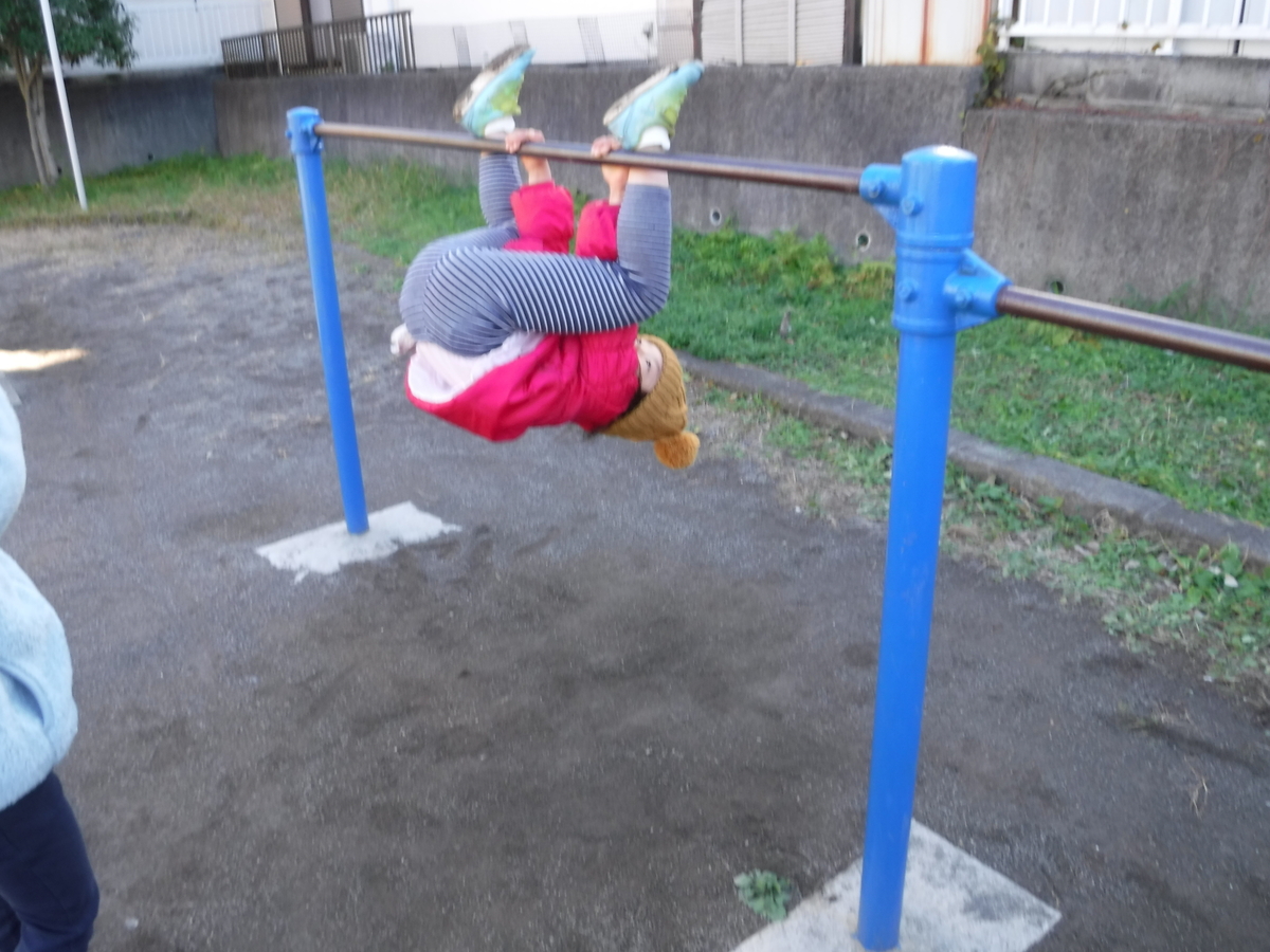 f:id:donkoro:20191203111743j:plain