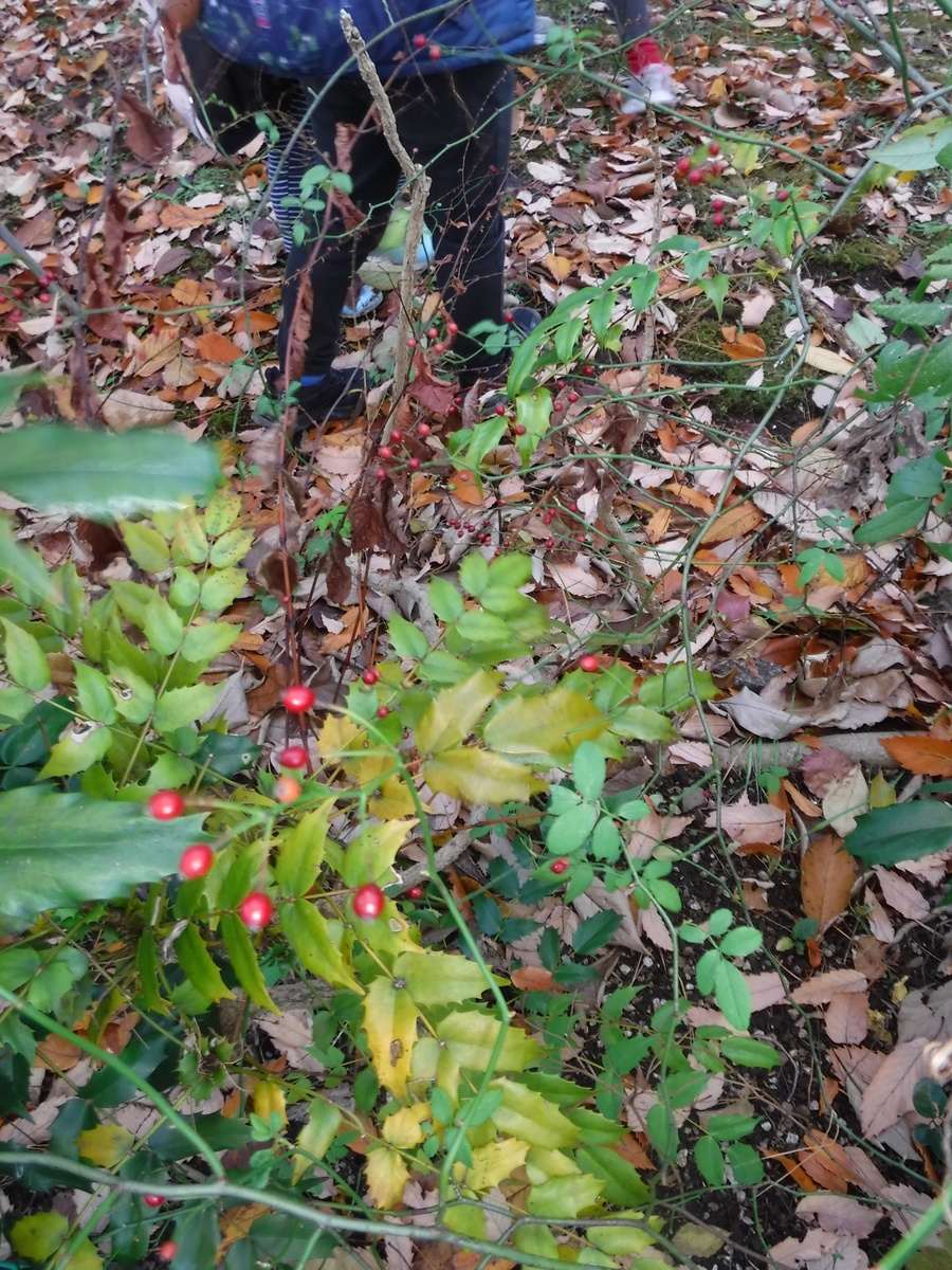 f:id:donkoro:20191203112648j:plain f:id:donkoro:20191203112648j:plain