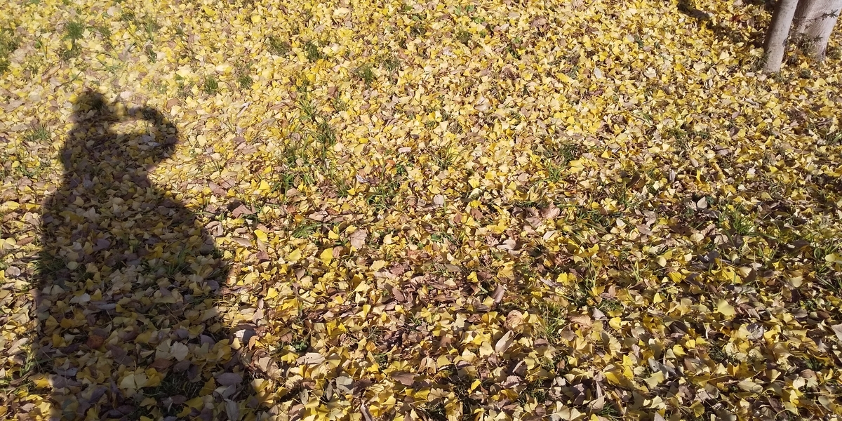 f:id:donkoro:20191214141744j:plain