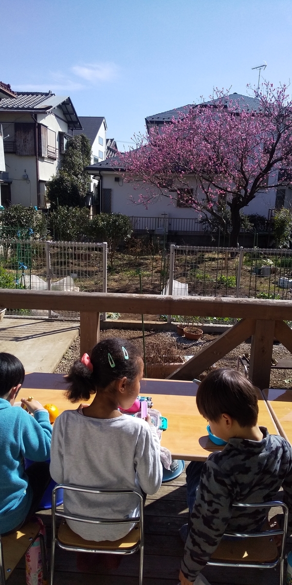 f:id:donkoro:20200301090746j:plain