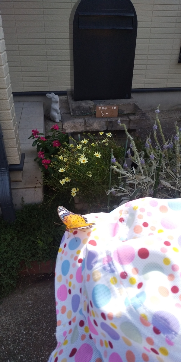 f:id:donkoro:20200818084321j:plain