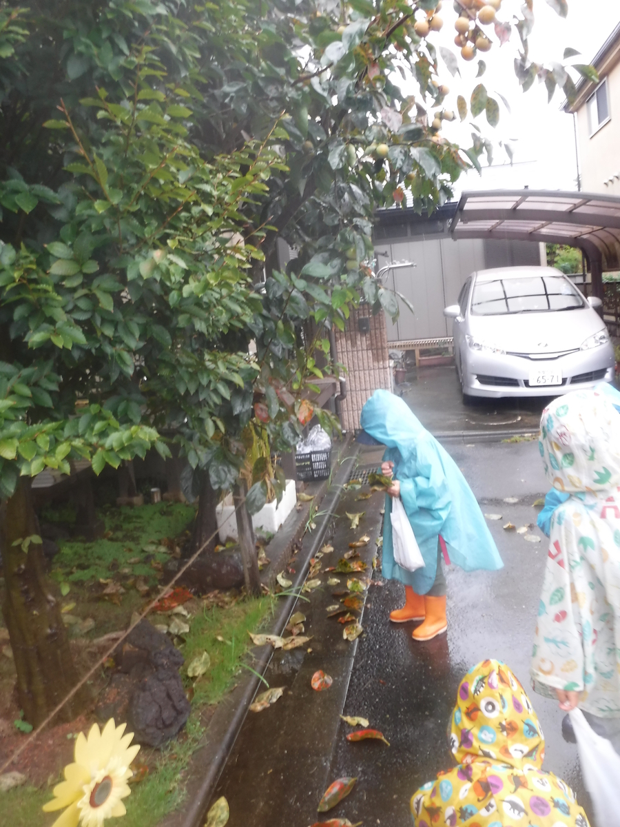 f:id:donkoro:20201008093809j:plain