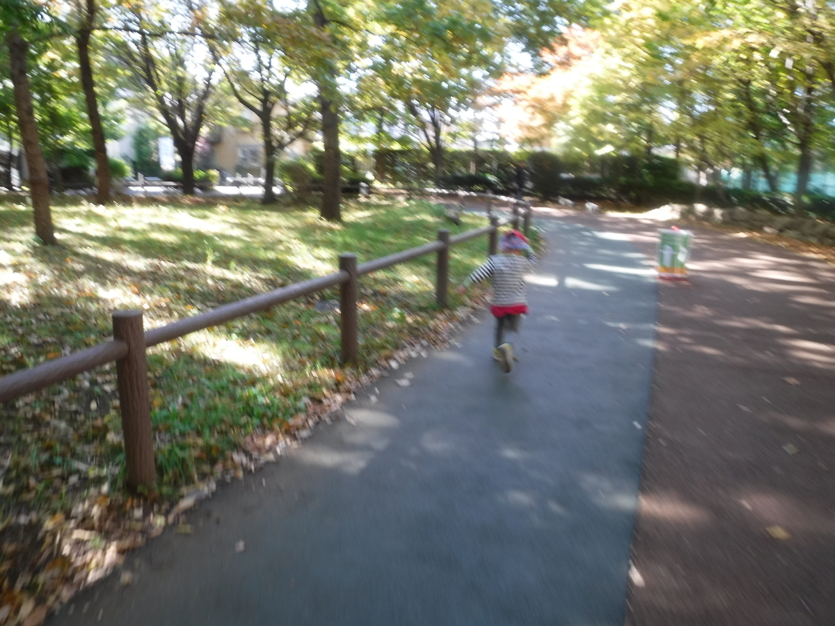 f:id:donkoro:20201109105149j:plain