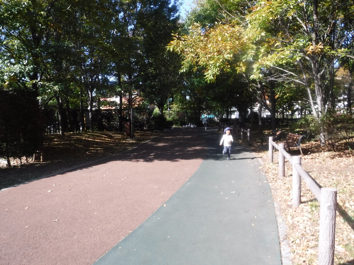 f:id:donkoro:20201109105512j:plain