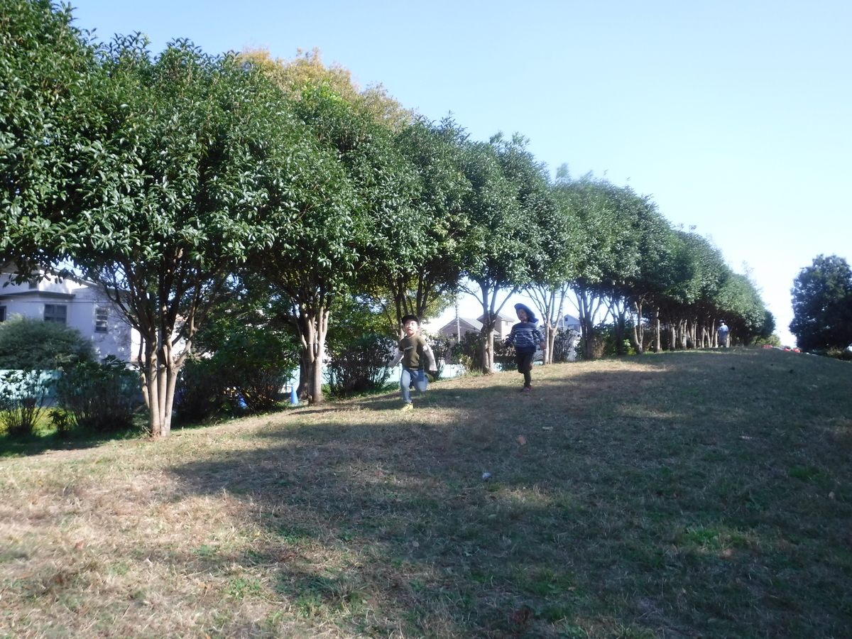 f:id:donkoro:20201111104008j:plain