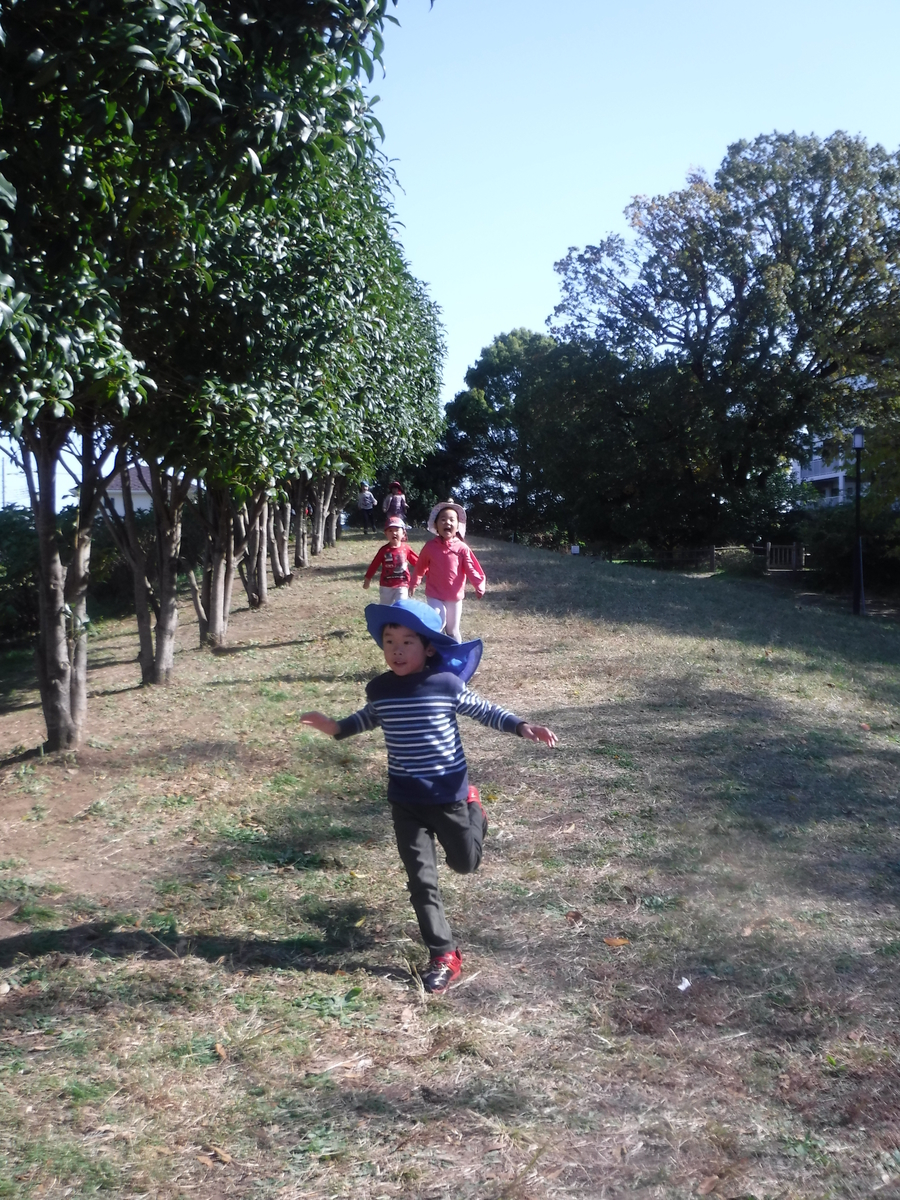 f:id:donkoro:20201111110205j:plain