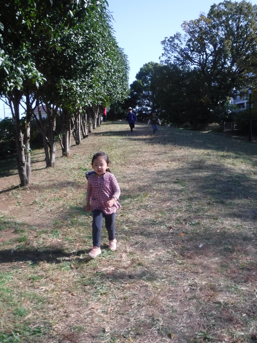 f:id:donkoro:20201111110225j:plain